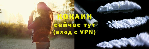 тгк Арсеньев