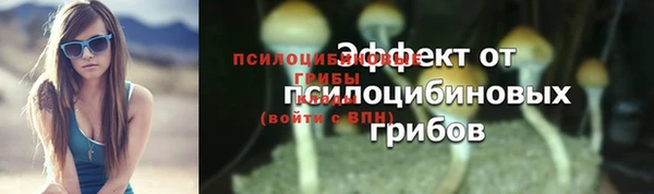 mix Армянск