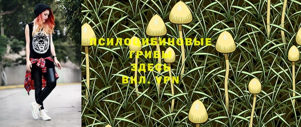 тгк Арсеньев