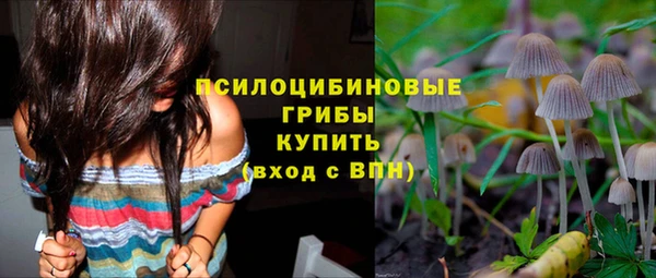 mix Армянск